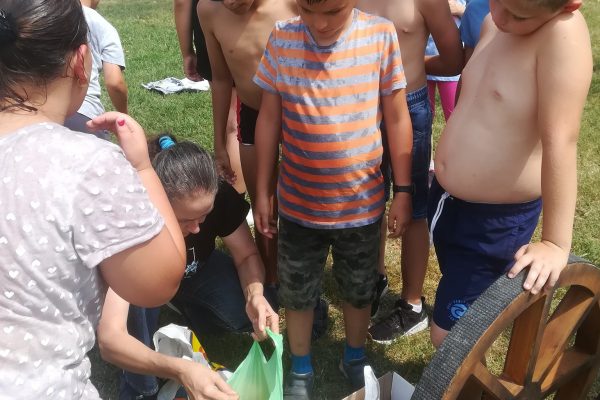 Meszesi napközis tábor 2. hét - Kalocsa, 2019.07.15-19.
